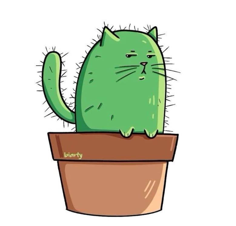 QmTCP6Up7E4ogZtrVHcUHZ2XBX2DuGCgek3PveT4aJig55