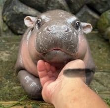 QmTGjnsHQhtnAqZ5LeKMEo4zmQhvFsSBSBMkghrTsqXKRQ